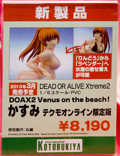 DEAD OR ALIVE Xtreme 2　DOAX2 Venus on the beach!　かすみ　テクモオンライン限定版　ネームプレート